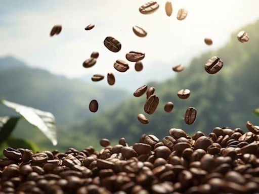 Acuerdo Green Coffee – Juan Valdez en Estados Unidos y Canadá: ¿En qué consiste?