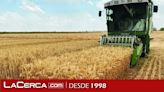El ITAP de la Diputación de Albacete participa en el proyecto de investigación supra-autonómico CLIMSOSTRIGO dirigido a mejorar la sostenibilidad del cultivo de trigo
