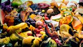 Canada food waste: Is more food being thrown out due to unsold, pricey groceries? Experts say it's complicated