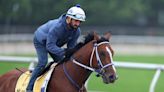 Preakness Stakes favorite Muth scratched with fever