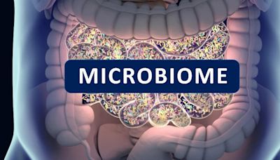 Científicos descubren qué gérmenes intestinales desencadenan la alimentación compulsiva