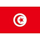 Tunisia national football team