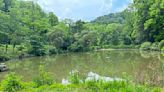 ‘Summertime welcomes new life’ at North Park’s Latodami Nature Center