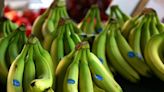 Banana giant Chiquita found liable for funding Colombian terrorist group