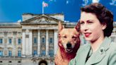 The royal pets: meet the animals who live in a palace