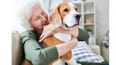 3 Questions to Ask Before Bringing Your Pet to Assisted Living