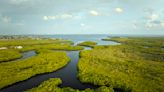 Q&A of the Day – Protecting Florida’s Waterways | 1290 WJNO