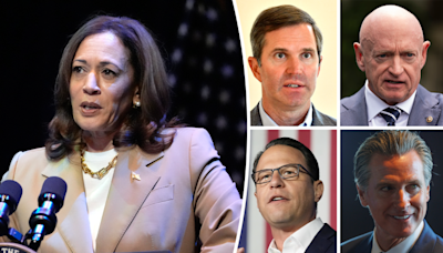 Harris veepstakes thrills Democrats as they look beyond 2024