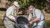 Fish stocking in Cuyahoga River meant to net more anglers