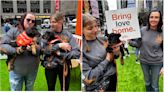 Pets find ‘fur-ever’ homes at Best Friends Animal Society’s pop-up playpen in Times Square | amNewYork