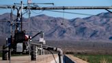 Arizona moves to end Saudi farm's controversial groundwater deals to grow, export alfalfa