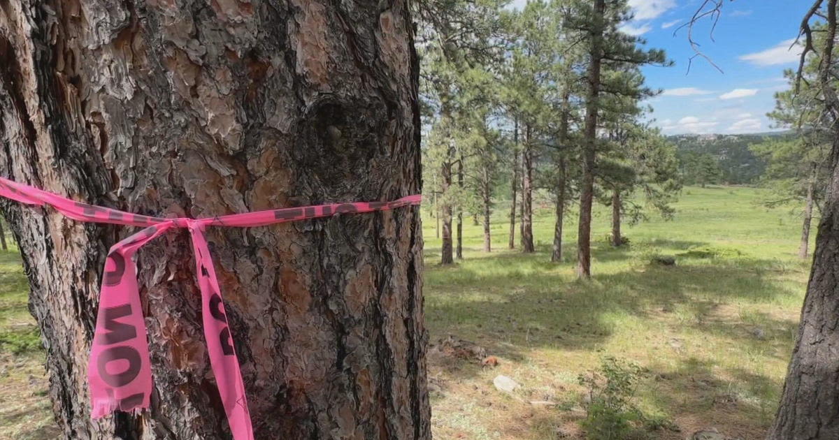 Popular open space park in Colorado set to close for fire mitigation in July