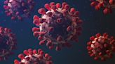 “Muta cada dos o tres meses”: para un inmunólogo español, la clave para luchar contra el Covid-19 son las vacunas pancoronavirus
