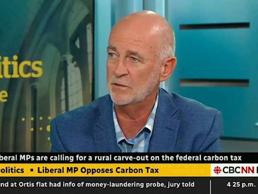 Liberal MP who supported Conservative carbon tax motions says he won’t run again