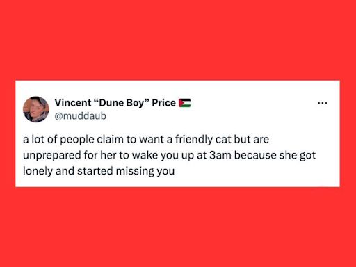 26 Of The Funniest Tweets About Cats And Dogs This Week (May 18-24)