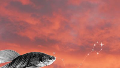 Le Poissons est le pire signe du zodiaque : en voici la preuve