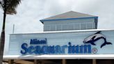Miami rescinde el contrato con el Seaquarium por el deterioro de los animales