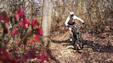 9 Tips to Take Your Mountain Biking Skills to the Next Level