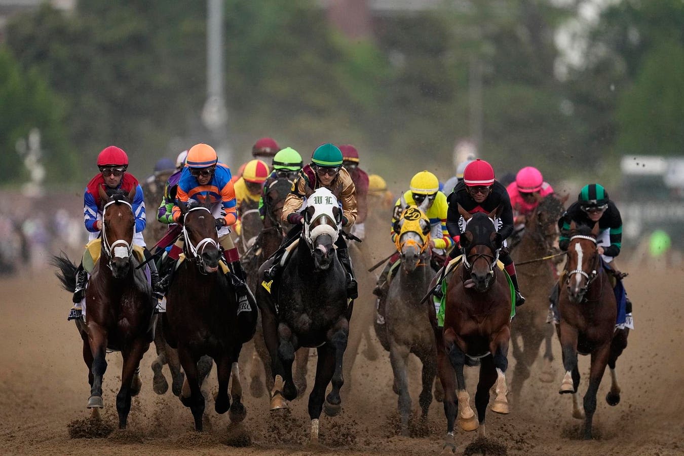 Preakness Stakes 2024 Odds And Horse Profiles