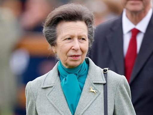 Princess Anne warned against 'setting precedent for future royal health updates'