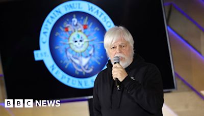 Paul Watson: Veteran anti-whaling activist arrested in Greenland