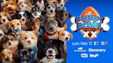 When is the 2024 Puppy Bowl? How to watch the 20th annual dog competition