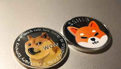 This meme coin rallied 17% in 24 hours, watch DOGE, SHIB, PEPE, BONK, WIF, FLOKI for gains