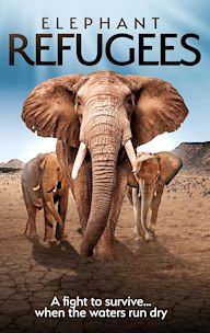 Elephant Refugees