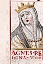 Agnes of Aquitaine, Queen of León and Castile