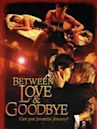 Between Love & Goodbye