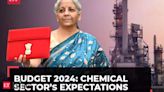 Budget 2024: Chemical firms want ease of doing business, sops to help compete against China