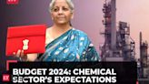 Budget 2024: Chemical firms want ease of doing business, SOPs to help compete against China