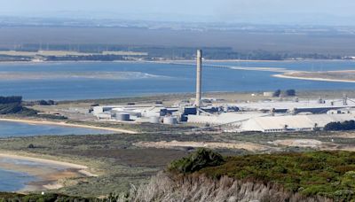 New Zealand’s Biggest Energy User Commits to Long Term