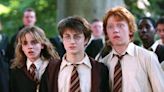 Did Peacock Remove the Harry Potter Movie Series?