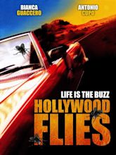 Hollywood Flies (2004) - Rotten Tomatoes