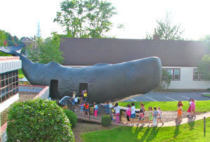 Conny the Whale returning to West Hartford next week — in part