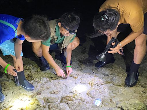 體驗恆春半島夜生活行程推薦｜潮間帶探索、望遠鏡觀星，陸海空都暢玩的生態小旅行 - 阿琪碎碎念 - 微笑台灣 - 用深度旅遊體驗鄉鎮魅力