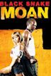 Black Snake Moan (film)