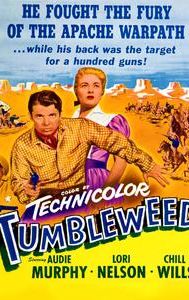 Tumbleweed (film)