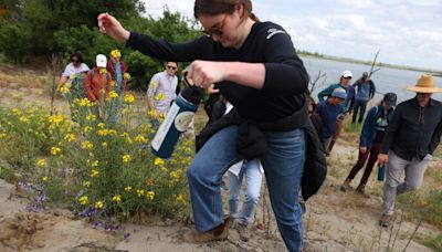 A unique Bay Area wildlife refuge is beginning to thrive again — but its most fascinating endangered species is still in peril