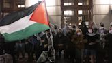 Anti-Israel protests infiltrated by ‘outside agitators’ who radicalize students, sow violence