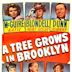 A Tree Grows in Brooklyn (1945 film)