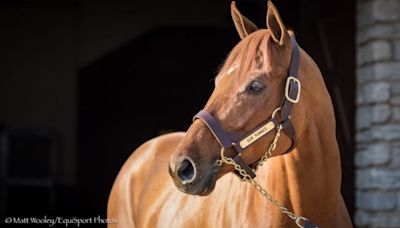 Gun Runner, Justify, Joel Rosario Among 2024 Hall Of Fame Class