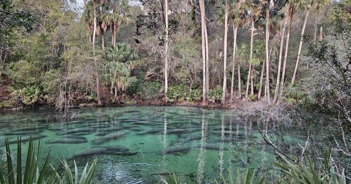 Florida State Parks entrance fees waived for Memorial Day Weekend