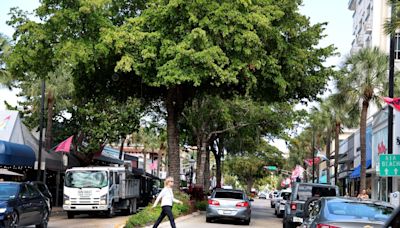 Leave the lovely Las Olas median alone | Editorial