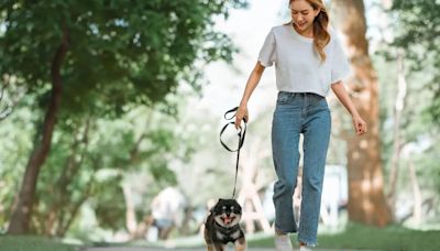 Esta es la regla de los 30 minutos que debes conocer si sueles pasear a tu perro cuanto termina de comer