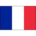 法國國家足球隊