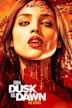 From Dusk till Dawn: The Series