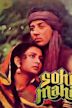 Sohni Mahiwal (1984 film)