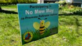 ‘No Mow May’ movement takes root in Michigan